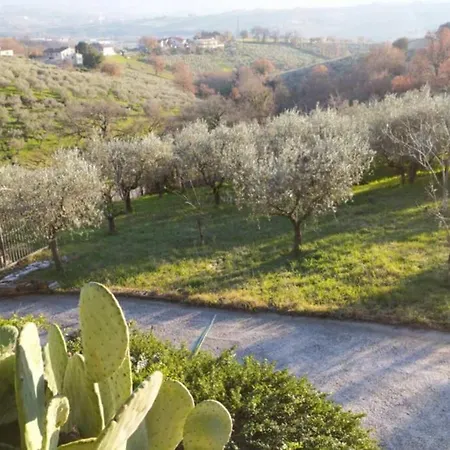Apartment Locazione Turistica In Bilocale Sita In Via Ponte Di Ferro 2 B