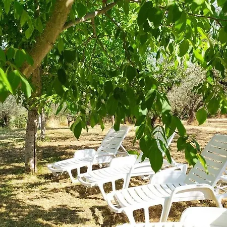 Apartament Locazione Turistica In Bilocale Sita In Via Ponte Di Ferro 2 B
