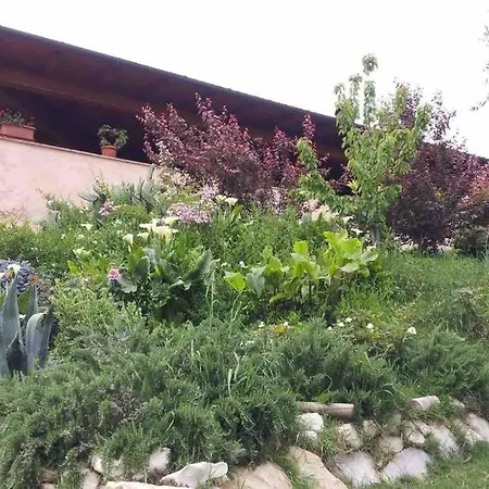 Apartment Locazione Turistica In Bilocale Sita In Via Ponte Di Ferro 2 B *