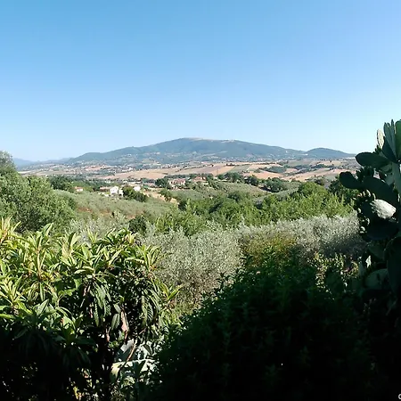 Locazione Turistica Spaccarotella Terrazzo Con Vista Su *
