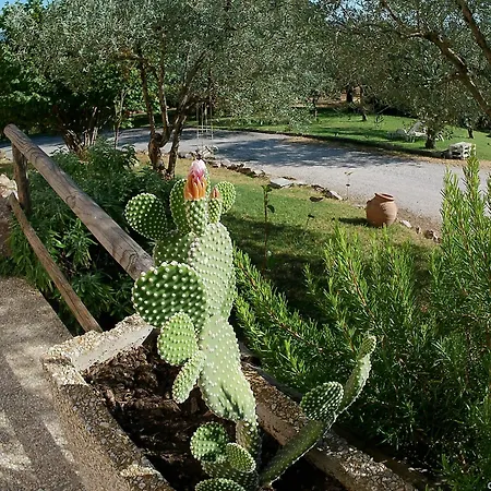 Apartamento Locazione Turistica In Bilocale Sita In Via Ponte Di Ferro 2 B Gualdo Cattaneo