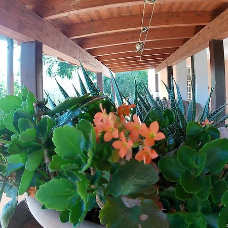 Locazione Turistica In Bilocale Sita In Via Ponte Di Ferro 2 B *