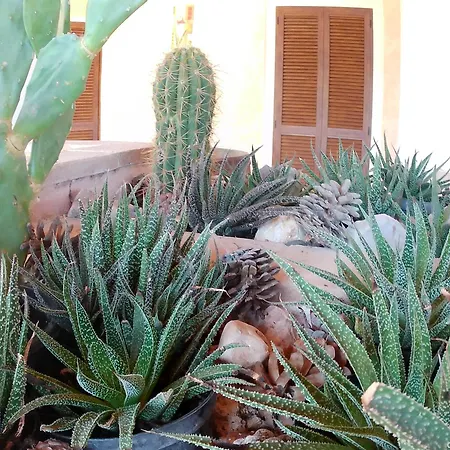 Locazione Turistica Spaccarotella Terrazzo Con Vista Su Gualdo Cattaneo