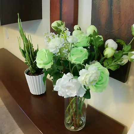 Locazione Turistica In Bilocale Sita In Via Ponte Di Ferro 2 B