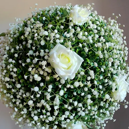 Locazione Turistica In Bilocale Sita In Via Ponte Di Ferro 2 B