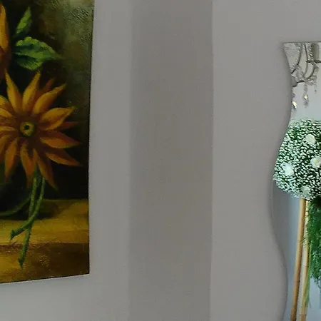 Apartamento Locazione Turistica In Bilocale Sita In Via Ponte Di Ferro 2 B *