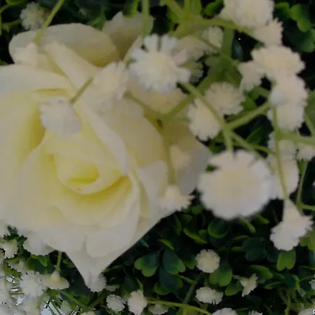 Apartamento Locazione Turistica In Bilocale Sita In Via Ponte Di Ferro 2 B